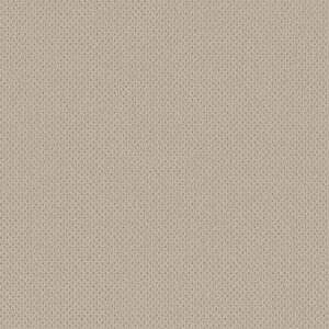 Anderson Tuftex Carpet Mera Natural 00113_ZZ086