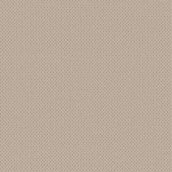 Anderson Tuftex Carpet Mera Natural 00113_ZZ086
