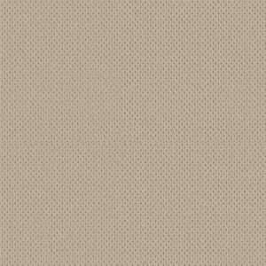 Anderson Tuftex Carpet Mera Biscuit 00114_ZZ086