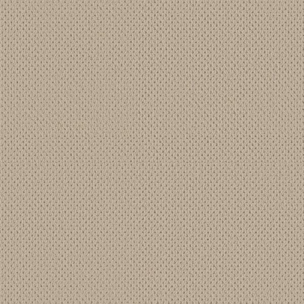 Anderson Tuftex Carpet Mera Biscuit 00114_ZZ086