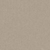 Anderson Tuftex Carpet Mera Fleece 00115_ZZ086