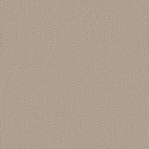 Anderson Tuftex Carpet Mera Fleece 00115_ZZ086