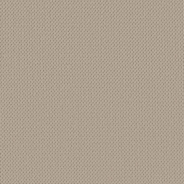 Anderson Tuftex Carpet Mera Fleece 00115_ZZ086