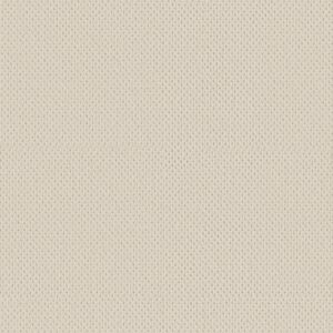 Anderson Tuftex Carpet Mera Sparkling 00121_ZZ086
