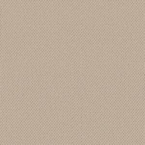 Anderson Tuftex Carpet Mera Beach Haven 00124_ZZ086