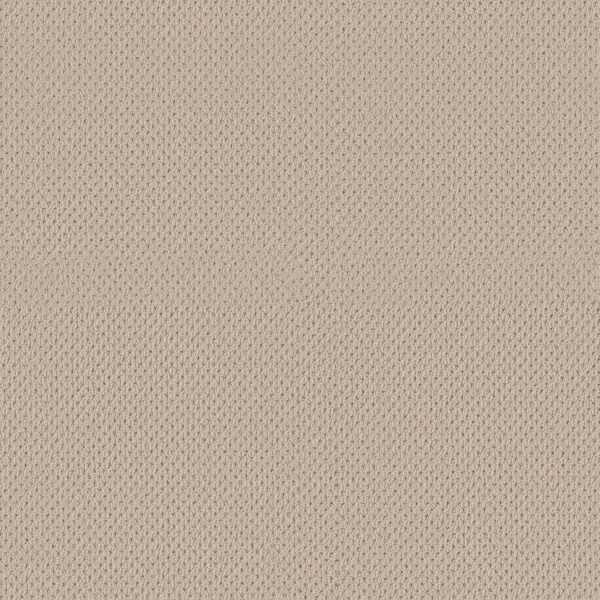 Anderson Tuftex Carpet Mera Beach Haven 00124_ZZ086