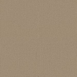 Anderson Tuftex Carpet Mera Golden 00127_ZZ086