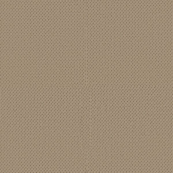 Anderson Tuftex Carpet Mera Golden 00127_ZZ086