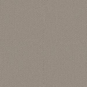 Anderson Tuftex Carpet Mera Portico 00172_ZZ086