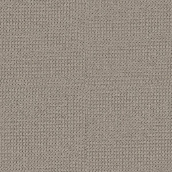 Anderson Tuftex Carpet Mera Portico 00172_ZZ086