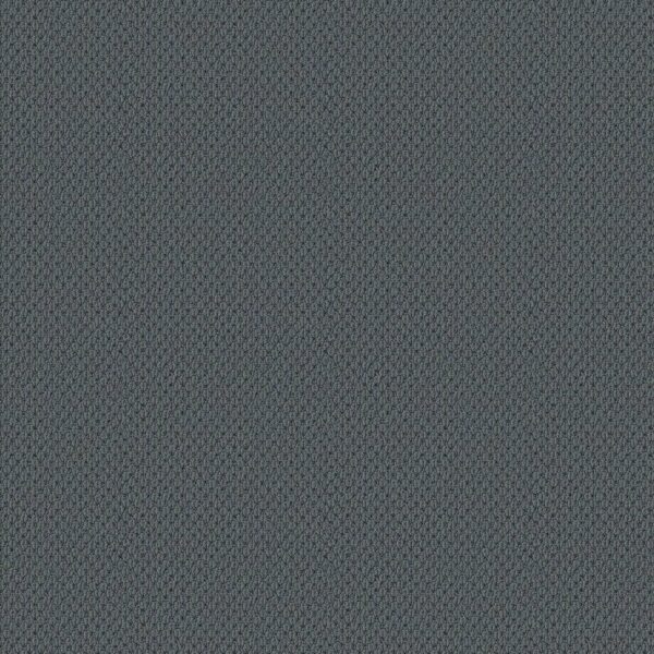 Anderson Tuftex Carpet Mera Blustery Sky 00447_ZZ086