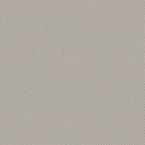 Anderson Tuftex Carpet Mera Lullaby 00540_ZZ086