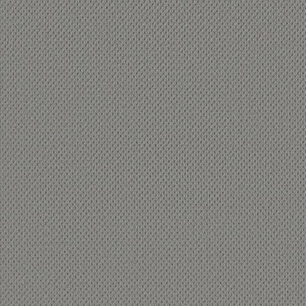 Anderson Tuftex Carpet Mera Half Moon 00544_ZZ086