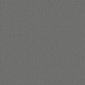 Anderson Tuftex Carpet Mera Tin 00547_ZZ086