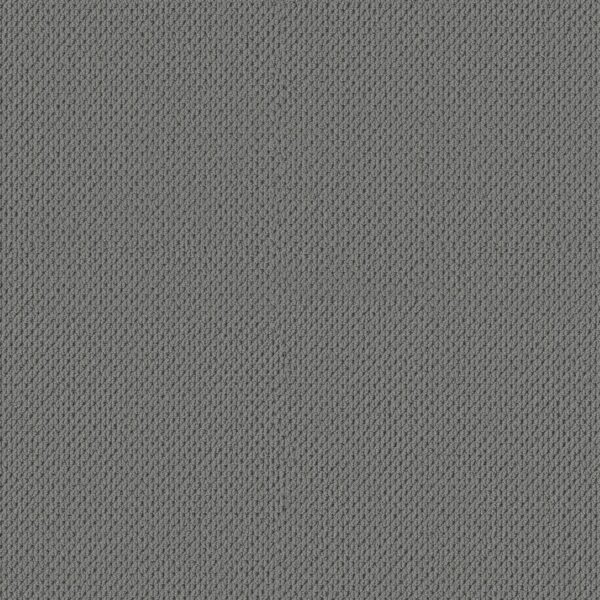 Anderson Tuftex Carpet Mera Tin 00547_ZZ086