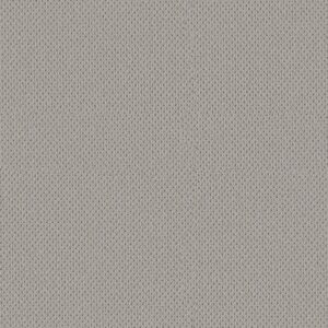 Anderson Tuftex Carpet Mera Silverplate 00552_ZZ086