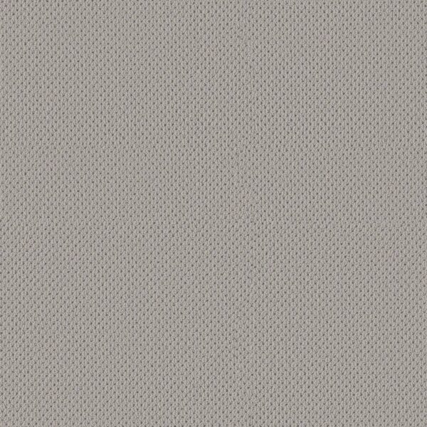 Anderson Tuftex Carpet Mera Silverplate 00552_ZZ086