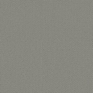 Anderson Tuftex Carpet Mera Essential 00554_ZZ086
