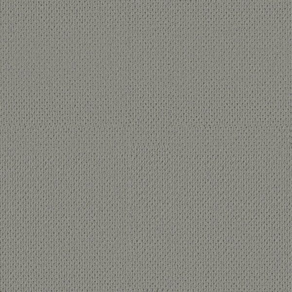 Anderson Tuftex Carpet Mera Essential 00554_ZZ086