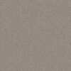 Anderson Tuftex Carpet Mera Huskie 00573_ZZ086