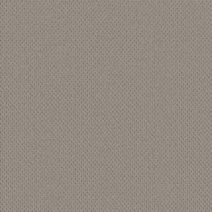 Anderson Tuftex Carpet Mera Huskie 00573_ZZ086
