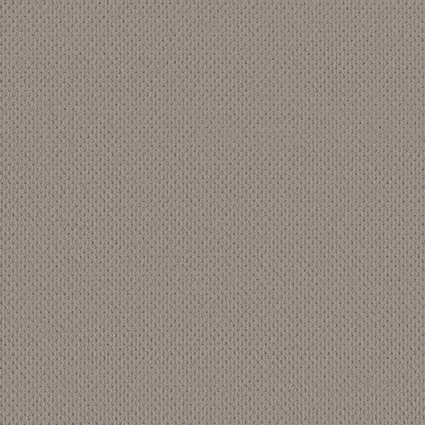 Anderson Tuftex Carpet Mera Huskie 00573_ZZ086