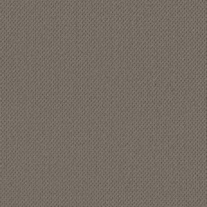 Anderson Tuftex Carpet Mera Pewter 00577_ZZ086