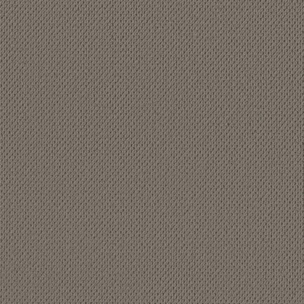 Anderson Tuftex Carpet Mera Pewter 00577_ZZ086