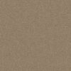 Anderson Tuftex Carpet Mera Latte 00724_ZZ086