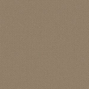 Anderson Tuftex Carpet Mera Latte 00724_ZZ086