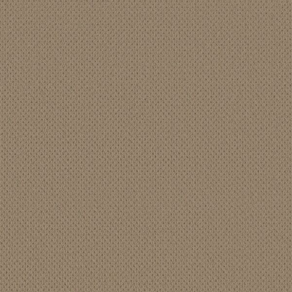 Anderson Tuftex Carpet Mera Latte 00724_ZZ086