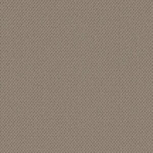Anderson Tuftex Carpet Mera Pavestone 00753_ZZ086