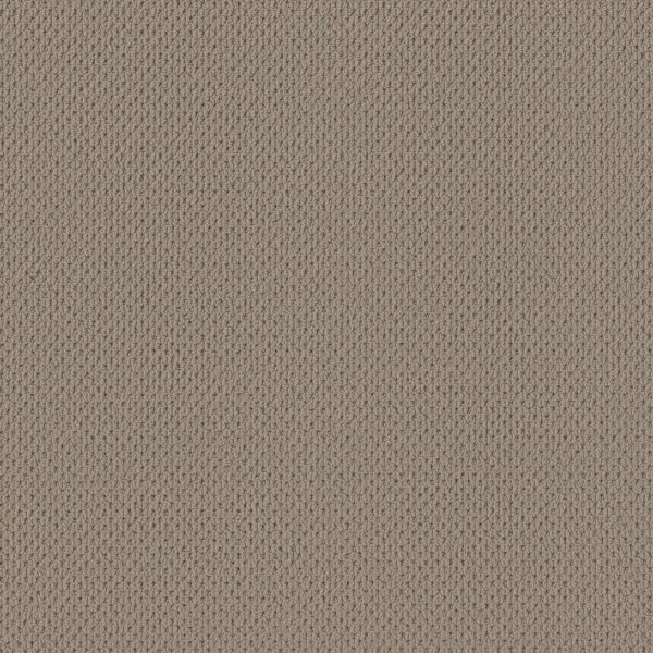 Anderson Tuftex Carpet Mera Pavestone 00753_ZZ086