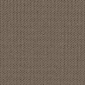 Anderson Tuftex Carpet Mera Shingle 00758_ZZ086