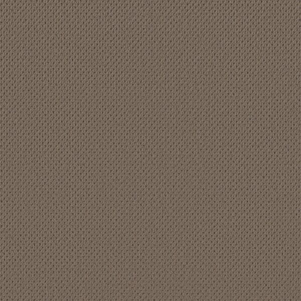 Anderson Tuftex Carpet Mera Shingle 00758_ZZ086