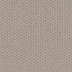 Anderson Tuftex Carpet Mera Plymouth 00772_ZZ086