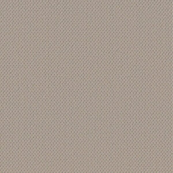 Anderson Tuftex Carpet Mera Plymouth 00772_ZZ086