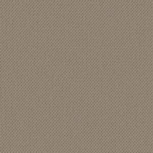 Anderson Tuftex Carpet Mera Rockport 00774_ZZ086