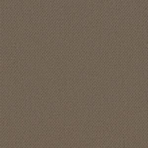 Anderson Tuftex Carpet Mera Homestead 00777_ZZ086