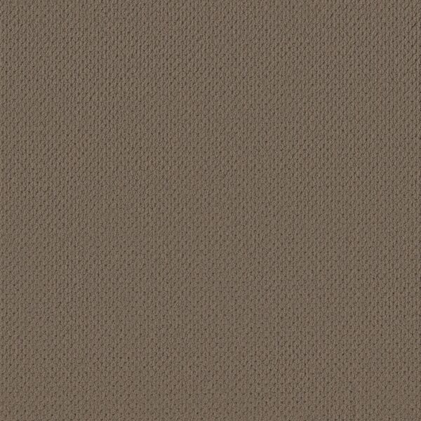 Anderson Tuftex Carpet Mera Homestead 00777_ZZ086