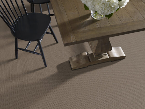 Anderson Tuftex Carpet Mera Homestead 00777_ZZ086 - Image 2