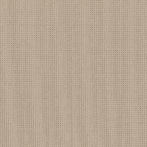 Anderson Tuftex Carpet San Lucas Biscuit 00114_ZZ095