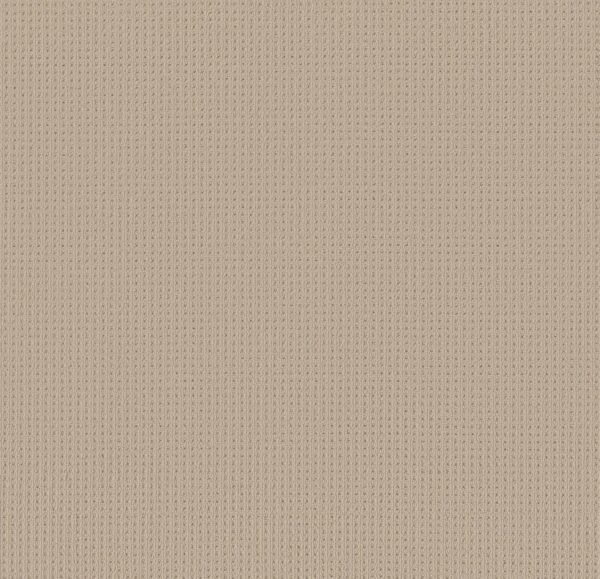 Anderson Tuftex Carpet San Lucas Biscuit 00114_ZZ095