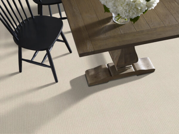 Anderson Tuftex Carpet San Lucas Fleece 00115_ZZ095 - Image 2