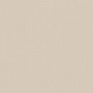 Anderson Tuftex Carpet San Lucas Sparkling 00121_ZZ095