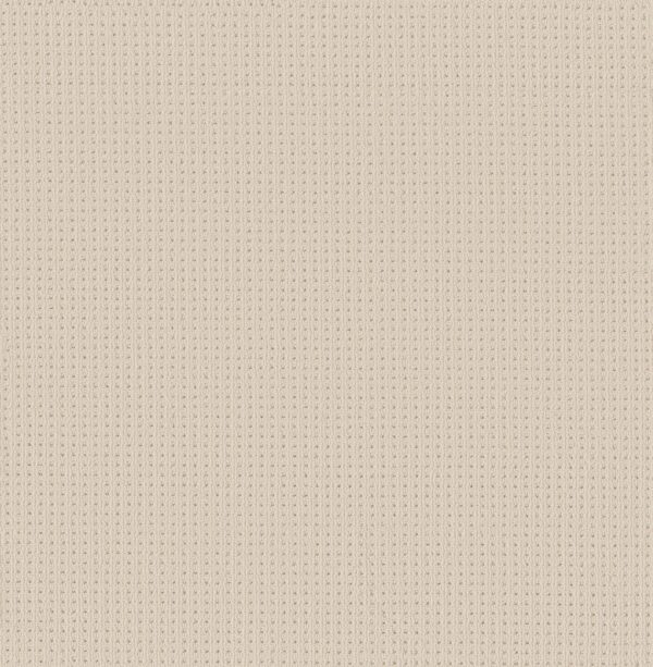 Anderson Tuftex Carpet San Lucas Sparkling 00121_ZZ095