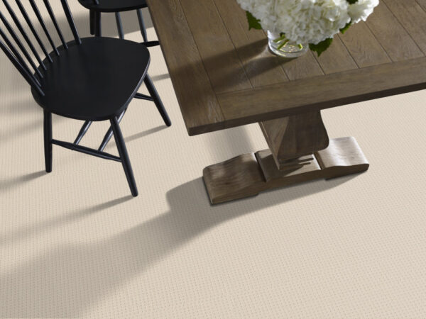 Anderson Tuftex Carpet San Lucas Sparkling 00121_ZZ095 - Image 2