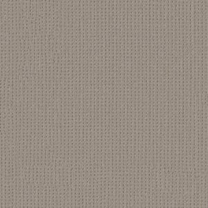 Anderson Tuftex Carpet San Lucas Portico 00172_ZZ095