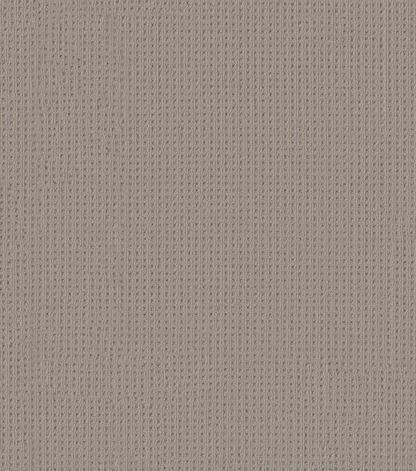 Anderson Tuftex Carpet San Lucas Portico 00172_ZZ095