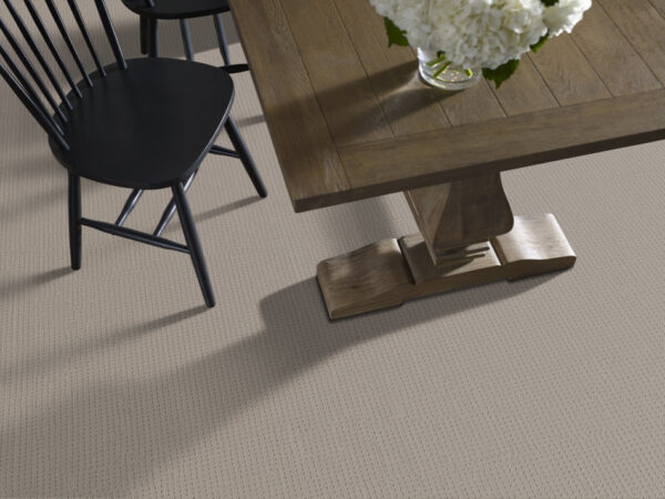 Anderson Tuftex Carpet San Lucas Portico 00172_ZZ095 - Image 2